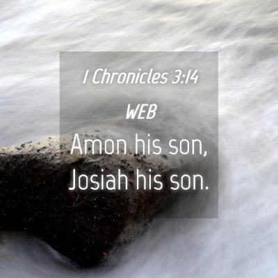 Picture 04 - 1 Chronicles 3:14 WEB - Amon his son, Josiah his - Bible Verse Picture