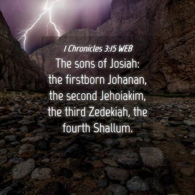 Picture 04 - 1 Chronicles 3:15 WEB - The sons of Josiah: the firstborn Johanan, the - Bible Verse Picture