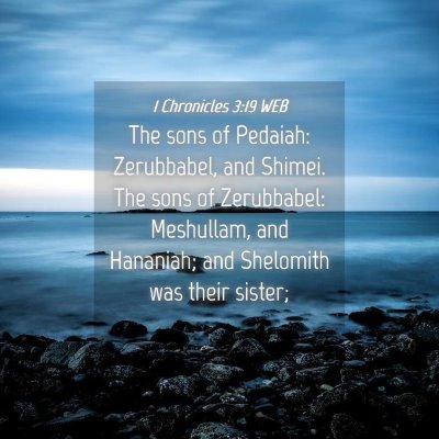 Picture 04 - 1 Chronicles 3:19 WEB - The sons of Pedaiah: Zerubbabel, and Shimei. The - Bible Verse Picture