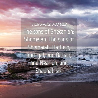 Picture 04 - 1 Chronicles 3:22 WEB - The sons of Shecaniah: Shemaiah. The sons of - Bible Verse Picture