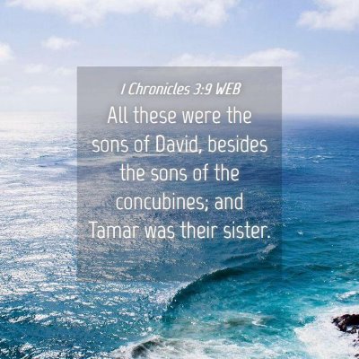 Picture 04 - 1 Chronicles 3:9 WEB - All these were the sons of David, besides the - Bible Verse Picture