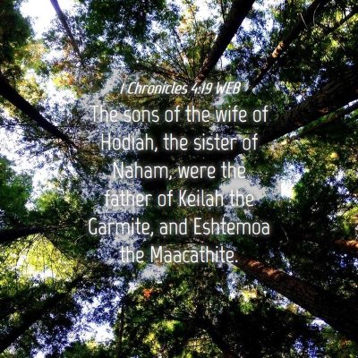 Picture 04 - 1 Chronicles 4:19 WEB - The sons of the wife of Hodiah, the sister of - Bible Verse Picture