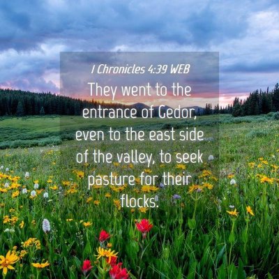 Picture 04 - 1 Chronicles 4:39 WEB - They went to the entrance of Gedor, even to the - Bible Verse Picture