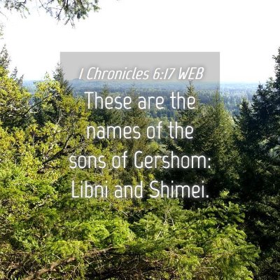 Picture 04 - 1 Chronicles 6:17 WEB - These are the names of the sons of Gershom: Libni - Bible Verse Picture