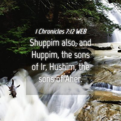Picture 04 - 1 Chronicles 7:12 WEB - Shuppim also, and Huppim, the sons of Ir, Hushim, - Bible Verse Picture