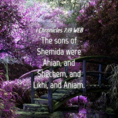 Picture 04 - 1 Chronicles 7:19 WEB - The sons of Shemida were Ahian, and Shechem, and - Bible Verse Picture