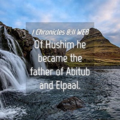 Picture 04 - 1 Chronicles 8:11 WEB - Of Hushim he became the father of Abitub and - Bible Verse Picture