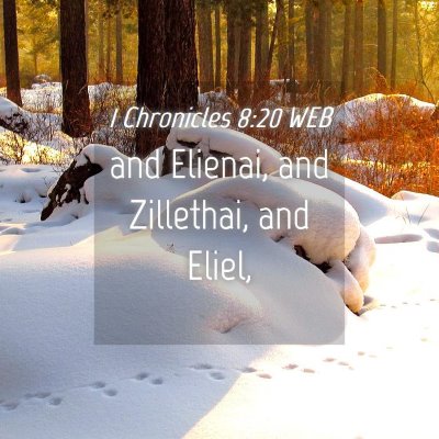 Picture 04 - 1 Chronicles 8:20 WEB - and Elienai, and Zillethai, and - Bible Verse Picture