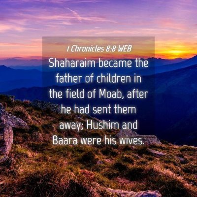 Picture 04 - 1 Chronicles 8:8 WEB - Shaharaim became the father of children in the - Bible Verse Picture