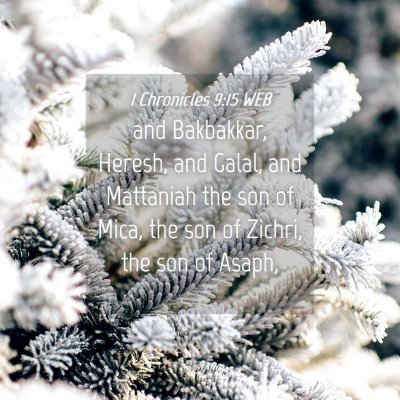 Picture 04 - 1 Chronicles 9:15 WEB - and Bakbakkar, Heresh, and Galal, and Mattaniah - Bible Verse Picture