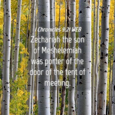 Picture 04 - 1 Chronicles 9:21 WEB - Zechariah the son of Meshelemiah was porter of - Bible Verse Picture