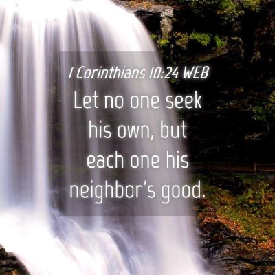 Picture 04 - 1 Corinthians 10:24 WEB - Let no one seek his own, but each one his - Bible Verse Picture