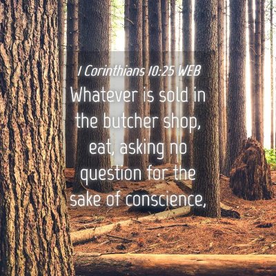 Picture 04 - 1 Corinthians 10:25 WEB - Whatever is sold in the butcher shop, eat, asking - Bible Verse Picture
