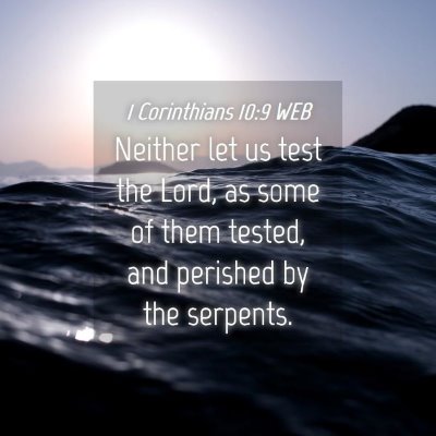 Picture 04 - 1 Corinthians 10:9 WEB - Neither let us test the Lord, as some of them - Bible Verse Picture