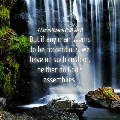 Picture 04 - 1 Corinthians 11:16 WEB - But if any man seems to be contentious, we have - Bible Verse Picture