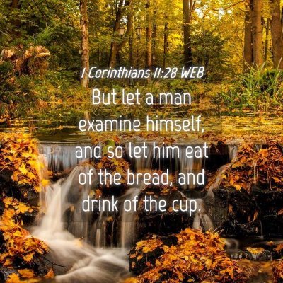 Picture 04 - 1 Corinthians 11:28 WEB - But let a man examine himself, and so let him eat - Bible Verse Picture