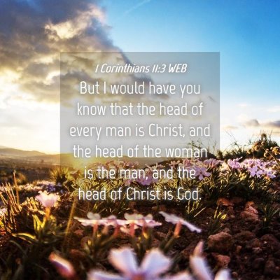Picture 04 - 1 Corinthians 11:3 WEB - But I would have you know that the head of every - Bible Verse Picture