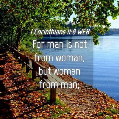 Picture 04 - 1 Corinthians 11:8 WEB - For man is not from woman, but woman from - Bible Verse Picture