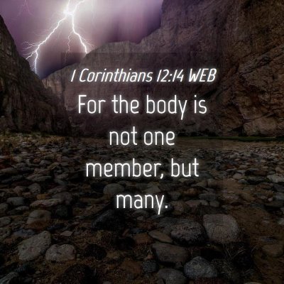 Picture 04 - 1 Corinthians 12:14 WEB - For the body is not one member, but - Bible Verse Picture