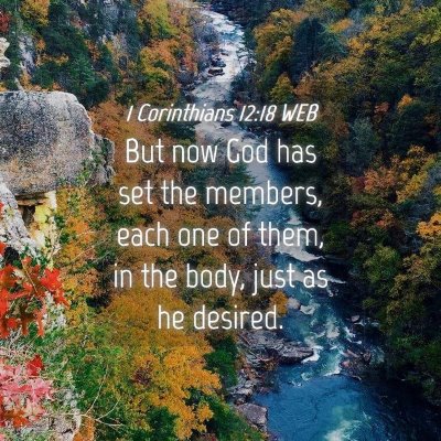 Picture 04 - 1 Corinthians 12:18 WEB - But now God has set the members, each one of - Bible Verse Picture