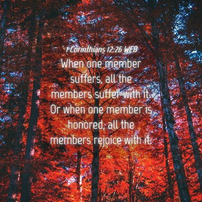 Picture 04 - 1 Corinthians 12:26 WEB - When one member suffers, all the members suffer - Bible Verse Picture