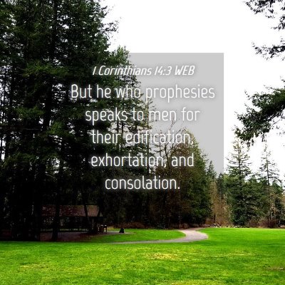 Picture 04 - 1 Corinthians 14:3 WEB - But he who prophesies speaks to men for their - Bible Verse Picture
