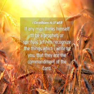 Picture 04 - 1 Corinthians 14:37 WEB - If any man thinks himself to be a prophet, or - Bible Verse Picture