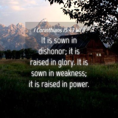 Picture 04 - 1 Corinthians 15:43 WEB - It is sown in dishonor; it is raised in glory. It - Bible Verse Picture