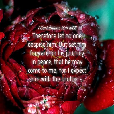 Picture 04 - 1 Corinthians 16:11 WEB - Therefore let no one despise him. But set him - Bible Verse Picture