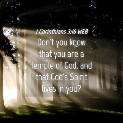 Picture 04 - 1 Corinthians 3:16 WEB - Don't you know that you are a temple of God, and - Bible Verse Picture