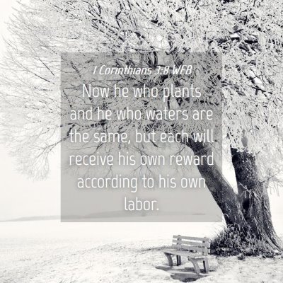 Picture 04 - 1 Corinthians 3:8 WEB - Now he who plants and he who waters are the same, - Bible Verse Picture
