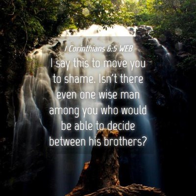 Picture 04 - 1 Corinthians 6:5 WEB - I say this to move you to shame. Isn't there even - Bible Verse Picture