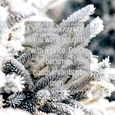 Picture 04 - 1 Corinthians 7:23 WEB - You were bought with a price. Don't become - Bible Verse Picture
