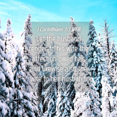 Picture 04 - 1 Corinthians 7:3 WEB - Let the husband render to his wife the affection - Bible Verse Picture