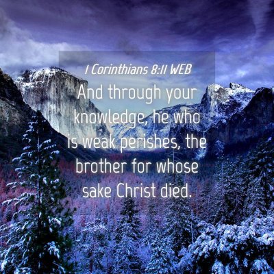 Picture 04 - 1 Corinthians 8:11 WEB - And through your knowledge, he who is weak - Bible Verse Picture