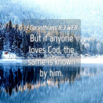 Picture 04 - 1 Corinthians 8:3 WEB - But if anyone loves God, the same is known by - Bible Verse Picture