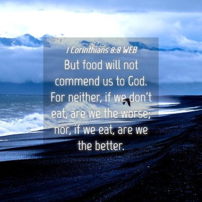 Picture 04 - 1 Corinthians 8:8 WEB - But food will not commend us to God. For neither, - Bible Verse Picture