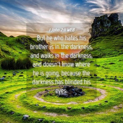 Picture 04 - 1 John 2:11 WEB - But he who hates his brother is in the darkness, - Bible Verse Picture