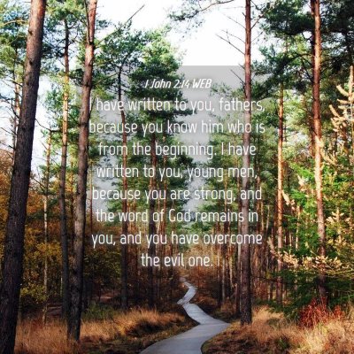 Picture 04 - 1 John 2:14 WEB - I have written to you, fathers, because you know - Bible Verse Picture
