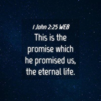 Picture 04 - 1 John 2:25 WEB - This is the promise which he promised us, the - Bible Verse Picture