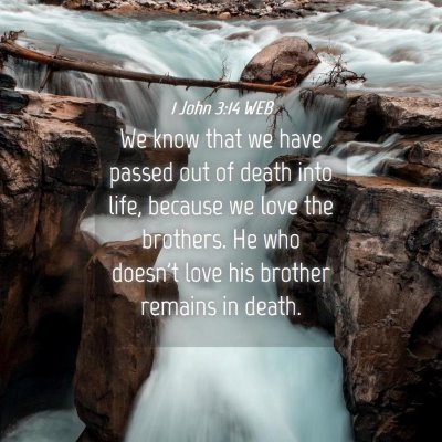 Picture 04 - 1 John 3:14 WEB - We know that we have passed out of death into - Bible Verse Picture