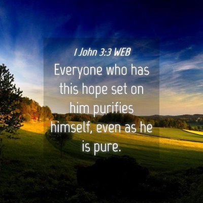 Picture 04 - 1 John 3:3 WEB - Everyone who has this hope set on him purifies - Bible Verse Picture