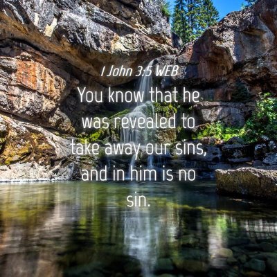 Picture 04 - 1 John 3:5 WEB - You know that he was revealed to take away our - Bible Verse Picture