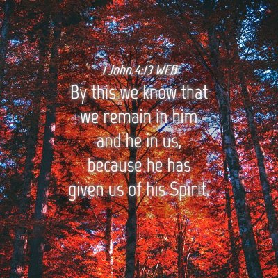 Picture 04 - 1 John 4:13 WEB - By this we know that we remain in him and he in - Bible Verse Picture