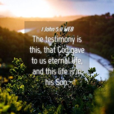 Picture 04 - 1 John 5:11 WEB - The testimony is this, that God gave to us - Bible Verse Picture