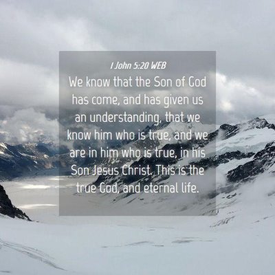 Picture 04 - 1 John 5:20 WEB - We know that the Son of God has come, and has - Bible Verse Picture