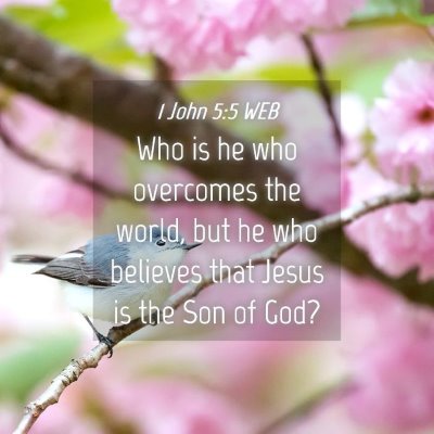 Picture 04 - 1 John 5:5 WEB - Who is he who overcomes the world, but he who - Bible Verse Picture