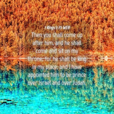 Picture 04 - 1 Kings 1:35 WEB - Then you shall come up after him, and he shall - Bible Verse Picture
