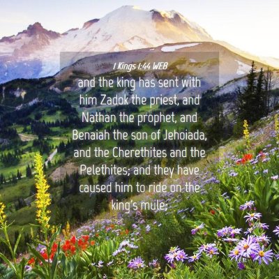 Picture 04 - 1 Kings 1:44 WEB - and the king has sent with him Zadok the priest, - Bible Verse Picture