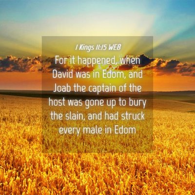 Picture 04 - 1 Kings 11:15 WEB - For it happened, when David was in Edom, and Joab - Bible Verse Picture